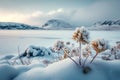 Frozen beauty Natures elegance revealed in stunning winter landscape