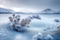 Frozen beauty Natures elegance revealed in stunning winter landscape