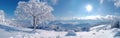 Frozen Beauty: Panoramic View of Black Forest Landscape with Snowy Trees at Schliffkopf Royalty Free Stock Photo