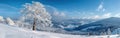 Frozen Beauty: Panoramic View of Snowy Black Forest Landscape with Icy Trees at Schliffkopf Royalty Free Stock Photo