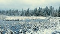 Frozen Beaver Lake covered in snow in Stanley Park during the snowfall