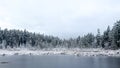 Frozen Beaver Lake covered in snow in Stanley Park during the snowfall