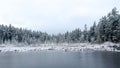 Frozen Beaver Lake covered in snow in Stanley Park during the snowfall during the snowfall