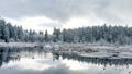 Frozen Beaver Lake covered in snow in Stanley Park during the snowfall a