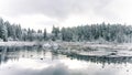 Frozen Beaver Lake covered in snow in Stanley Park during the snowfall a