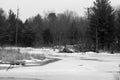 Frozen Beaver Pond