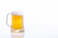 Frozen beer mug on white background with copy space