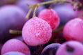 Frozen berries Royalty Free Stock Photo