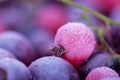 Frozen berries Royalty Free Stock Photo