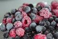 Frozen berries Royalty Free Stock Photo
