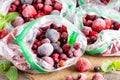 Frozen berries: black currant, red currant, blackberry, blueberry, raspberry, strawberry, cherry, plum in a plastic bag on a table Royalty Free Stock Photo