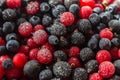 Frozen berries. Frozen blueberry, black currant and red currant. Preserved food. Natural antioxidant. Summer vitamin. Healthy food