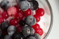 Frozen berries in the bowl Royalty Free Stock Photo