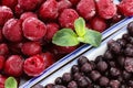 Frozen berries covered with ice