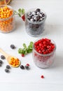 Frozen berries of cranberries, blueberries or blueberries and sea buckthorn in glass jars. On a light gray background