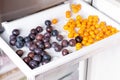 Frozen berries in the freezer. Frozen plums, cherry plums on the freezer shelf Royalty Free Stock Photo