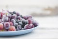 Frozen berries fruits background in ceramic plate close up.Fruits with frost. on vintage white wooden planks, blank space for text Royalty Free Stock Photo