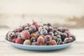 Frozen berries fruits background in ceramic plate close up.Fruits with frost. on vintage white wooden planks, blank space for text Royalty Free Stock Photo