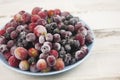 Frozen berries fruits background in ceramic plate close up.Fruits with frost. on vintage white wooden planks, blank space for text Royalty Free Stock Photo