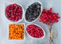 Frozen berries on a grey metallic background - aronia, cranberries, sea buckthorn, viburnum, cowberry
