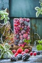 Frozen berries in an ice cube, with mint leaves. Copy space