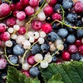 Frozen berries top view macro Royalty Free Stock Photo