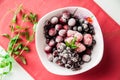 Frozen berries on white squareplate with bunch of mint Royalty Free Stock Photo