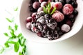 Frozen berries on whitw square plate with bunch of mint on white Royalty Free Stock Photo