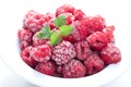 Frozen Berry Royalty Free Stock Photo