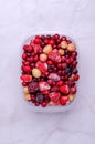 Frozen berry mix in a plastic container Royalty Free Stock Photo