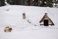 Frozen big guard watchdog on snow in winter near dog house in natural park