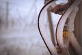 Close up of a frozen bike covered with ice.