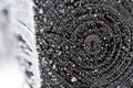 Frozen black painted pine pile close up. Royalty Free Stock Photo