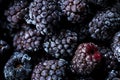 Frozen blackberries as background. Organic fruit. Close up
