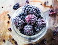 Frozen Blackberries Close Up Royalty Free Stock Photo