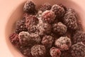 Frozen blackberries on plate Royalty Free Stock Photo