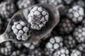 Frozen blackberries on a spoon Royalty Free Stock Photo