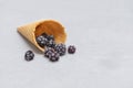 Frozen blackberries in a waffle cone on neutral background Royalty Free Stock Photo
