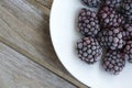Frozen blackberries on a white plate. Closeup Royalty Free Stock Photo