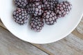 Frozen blackberries on a white plate. Closeup Royalty Free Stock Photo