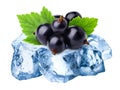 Frozen blackcurrants isolated Royalty Free Stock Photo