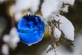 Frozen Blue Christmas Ornament Decorating a Snowy Outdoor Tree