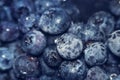 Frozen blue huckleberry also known as tall, swamp or high blueberry. Frozen blue fruits. Cold fruits background Royalty Free Stock Photo