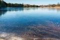 A frozen blue lake with clear ice, clear sky and trees on the horizon. Grass near the shore under thin ice. Nature abstraction Royalty Free Stock Photo