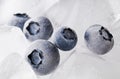 Frozen blueberries Royalty Free Stock Photo