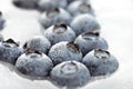 Frozen blueberries Royalty Free Stock Photo