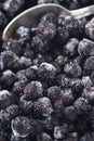 Frozen Blueberries Royalty Free Stock Photo