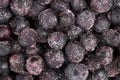 Frozen Blueberries Royalty Free Stock Photo