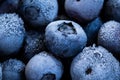 Frozen blueberries as background. Healthy organic fruit. Natural antioxidant. Close up