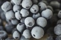 Frozen blueberries close-up